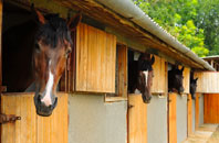 free Pimlico stable construction quotes